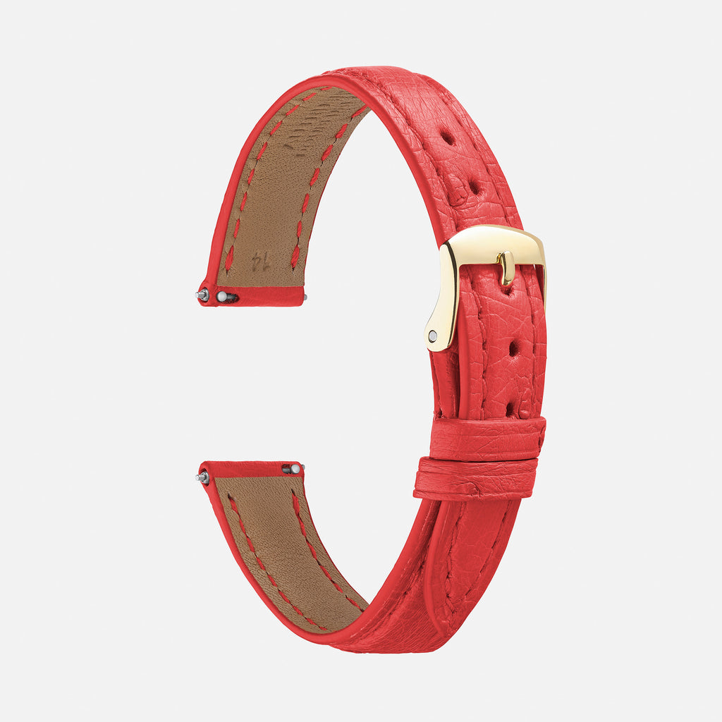bracelet montre autruche rouge